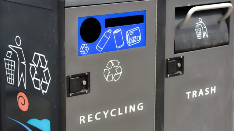 recycling-bins-2021-08-30-00-59-00-utc (1)