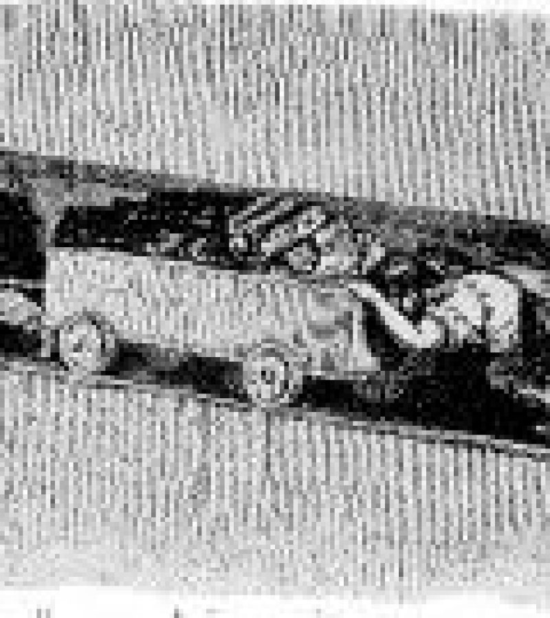 0078792_0.