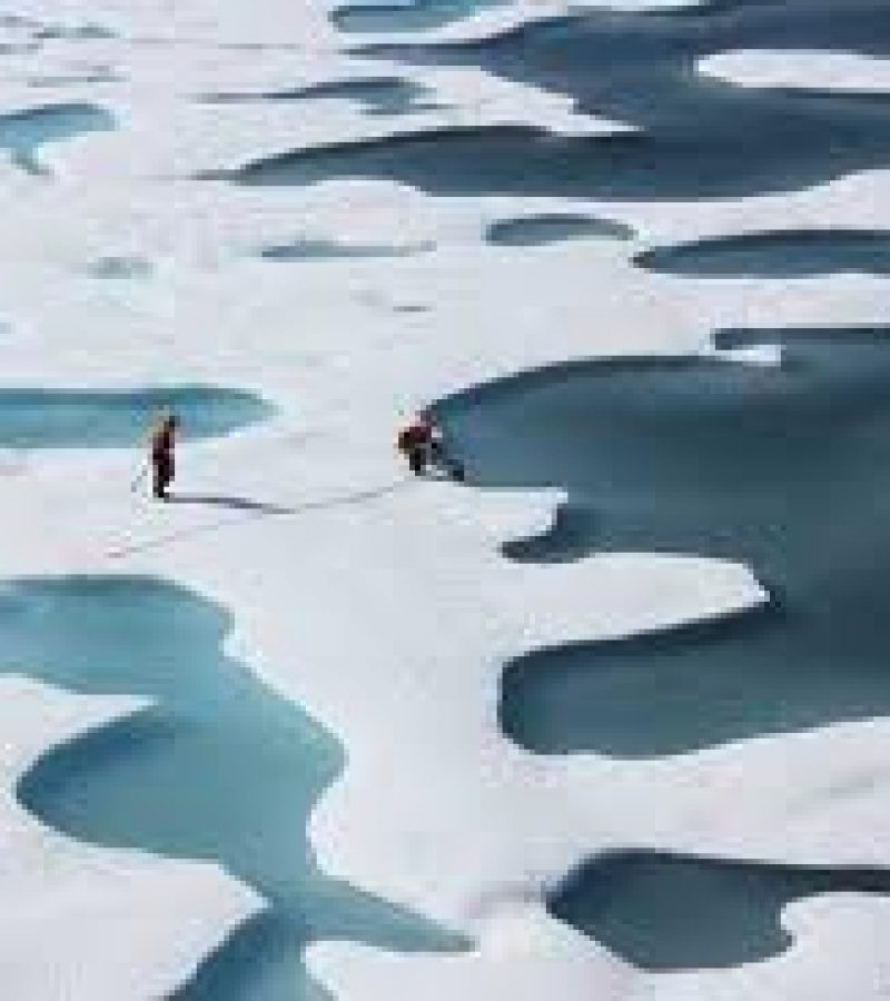 0079472_0.