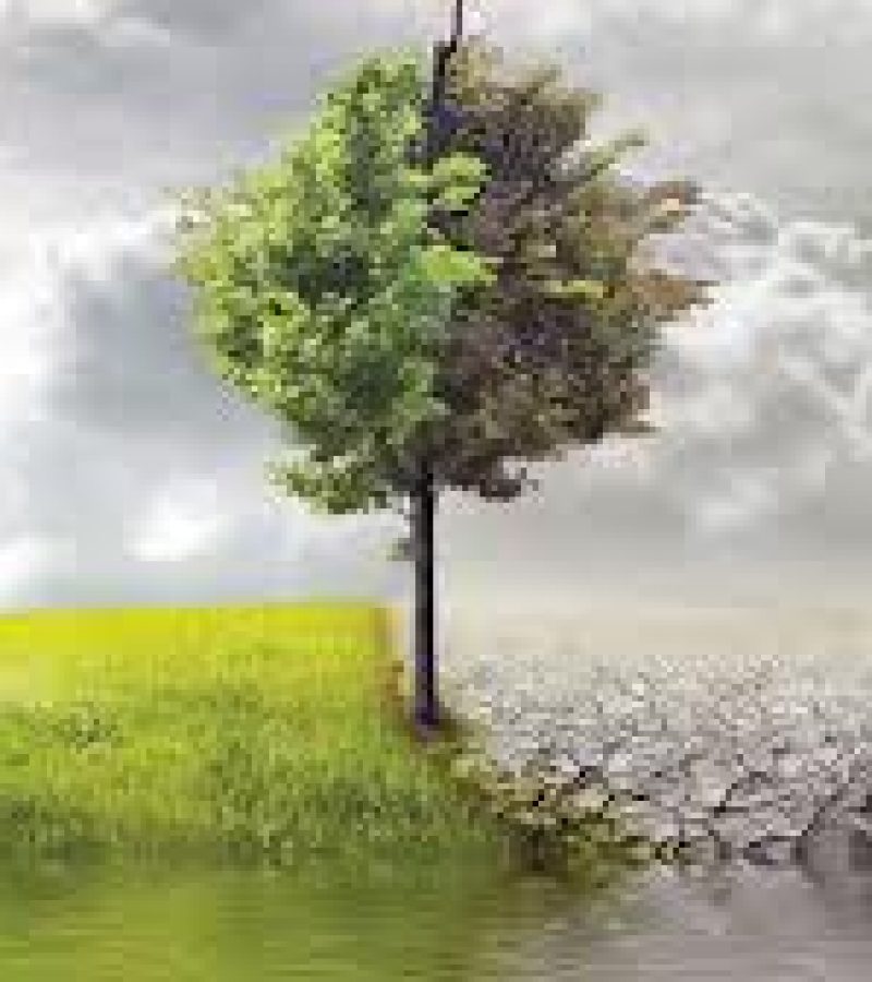 0080160_0.
