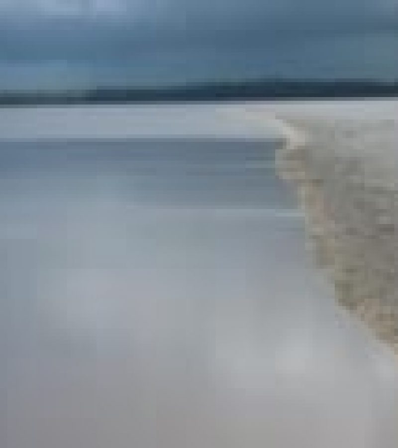 0080459_0.