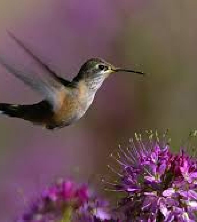 0081084_0.