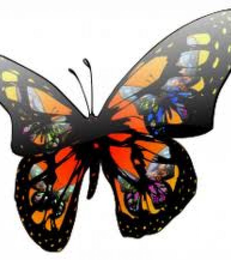 0081574_0.