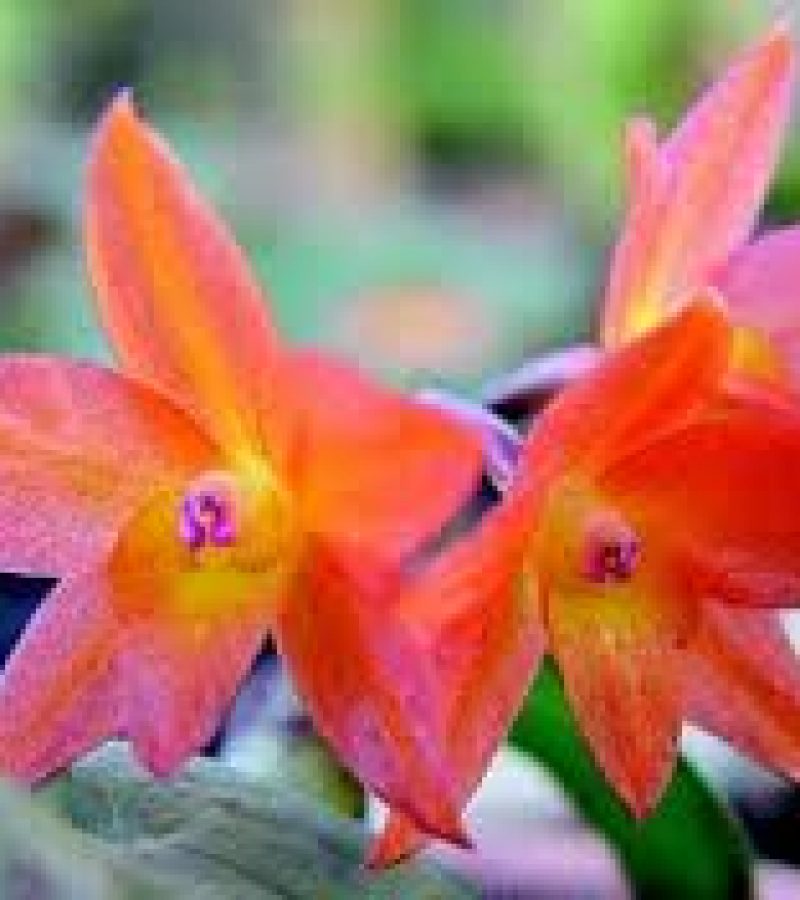 0081682_0.