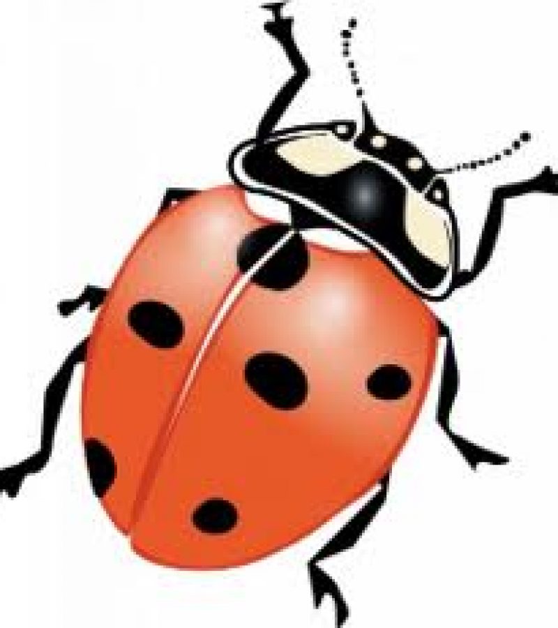 0081988_0.