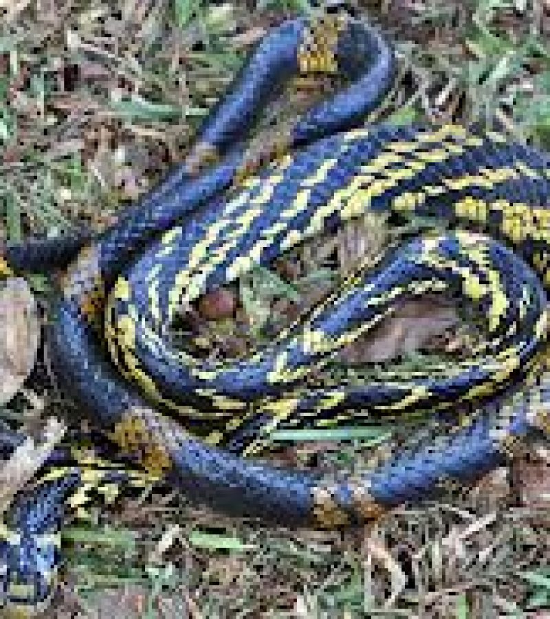 0082151_0.