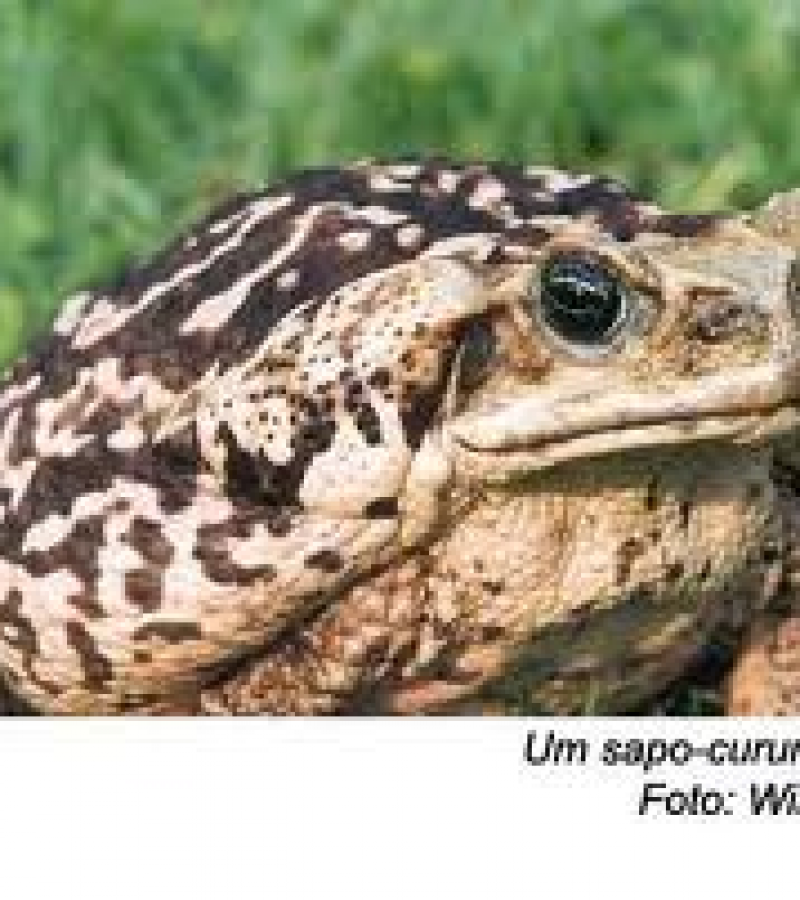 0082469_0.