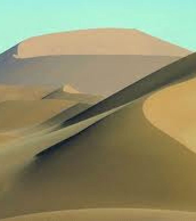 0082834_0.