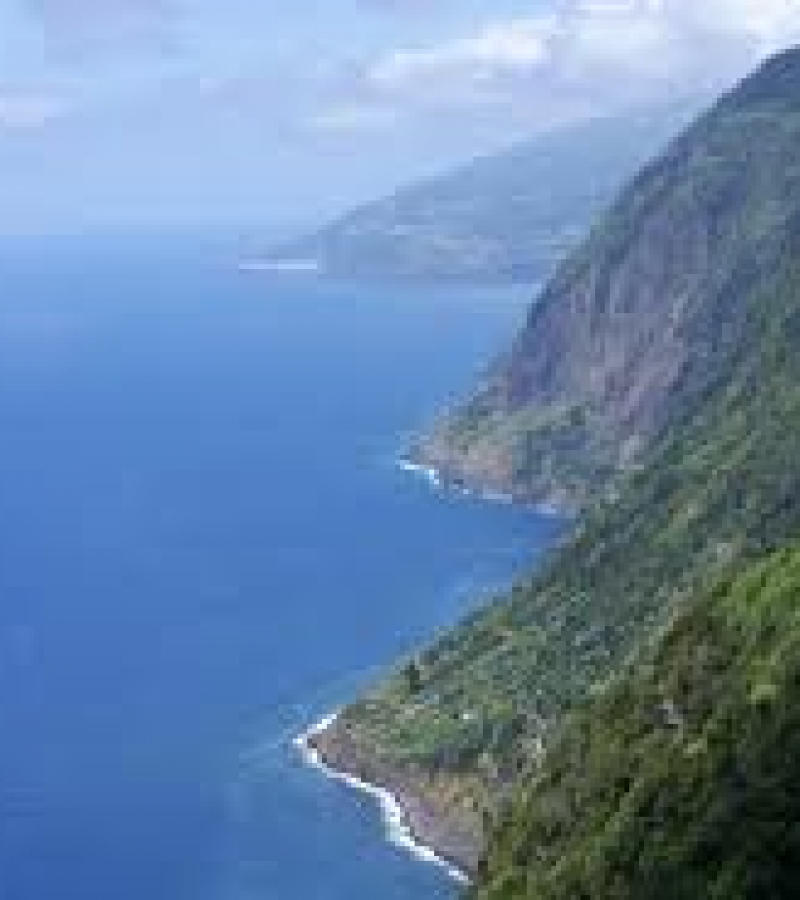 0082991_0.