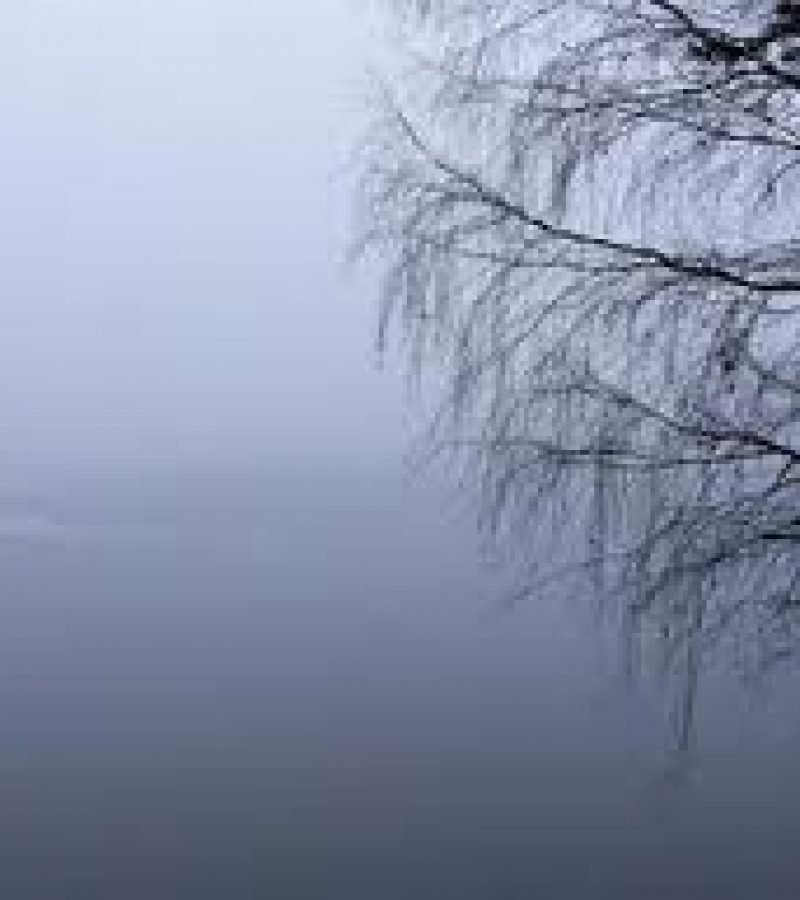 0083332_0.