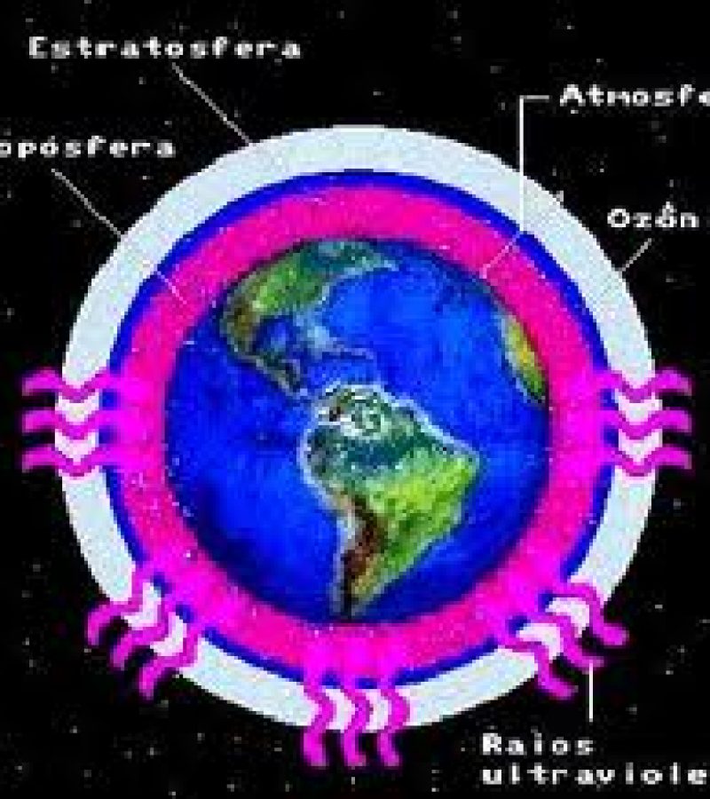 0083447_0.