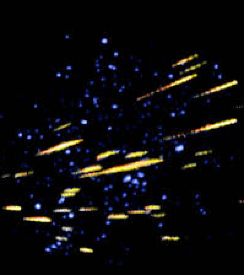 0083874_0.