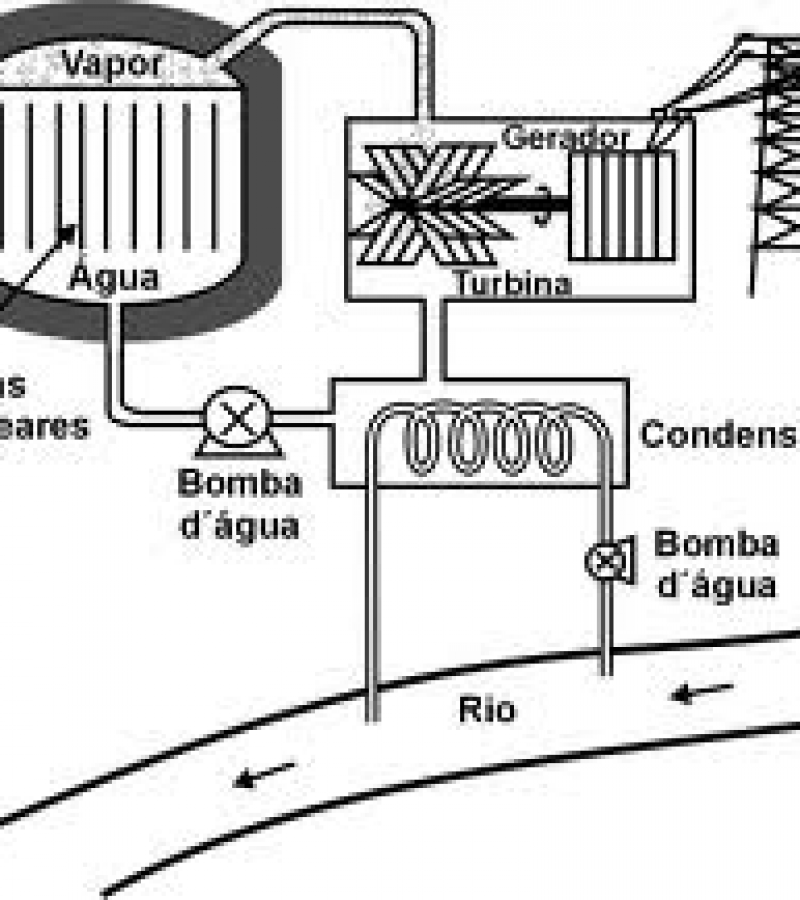 0083985_0.