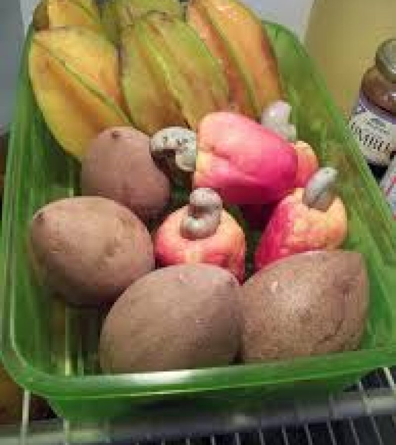 0086100_0.