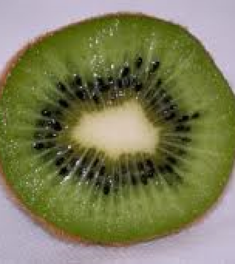 0086519_0.