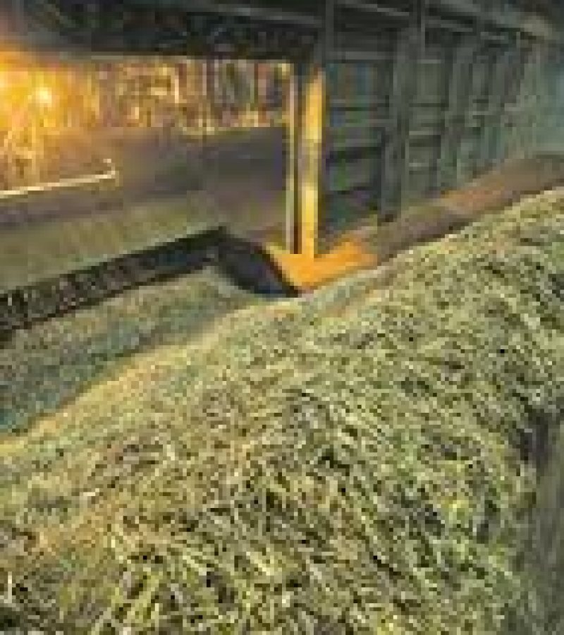 0086830_0.
