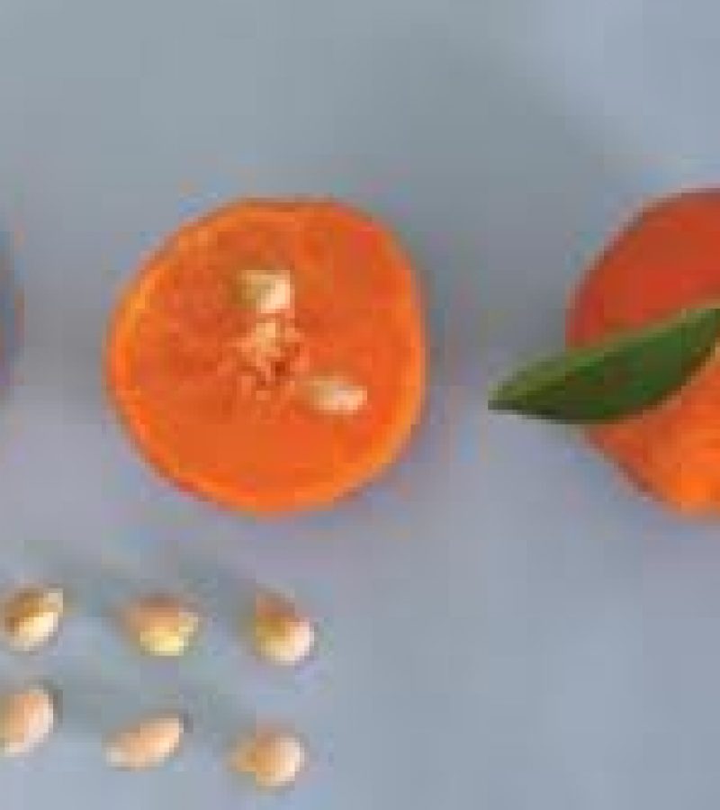 0087029_0.