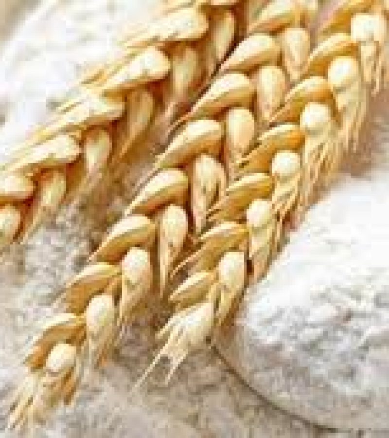 0087648_0.