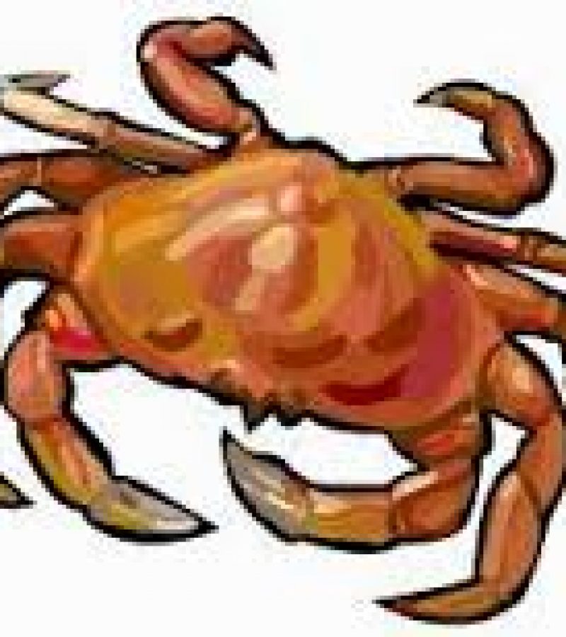 0088954_0.