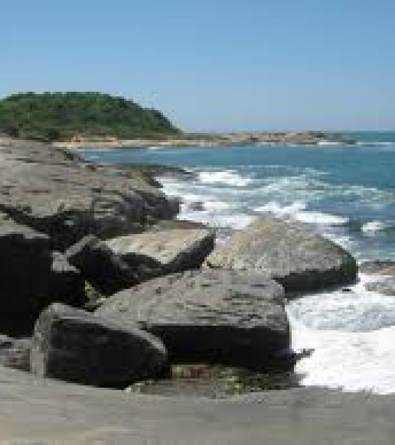 0088996_0.