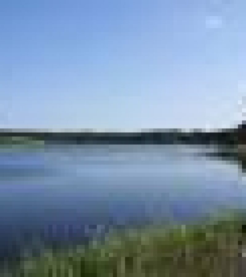 0089405_0.