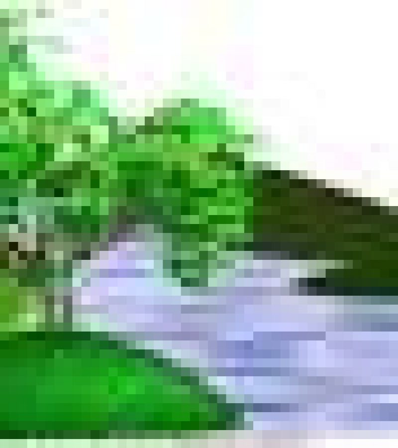 0089407_0.
