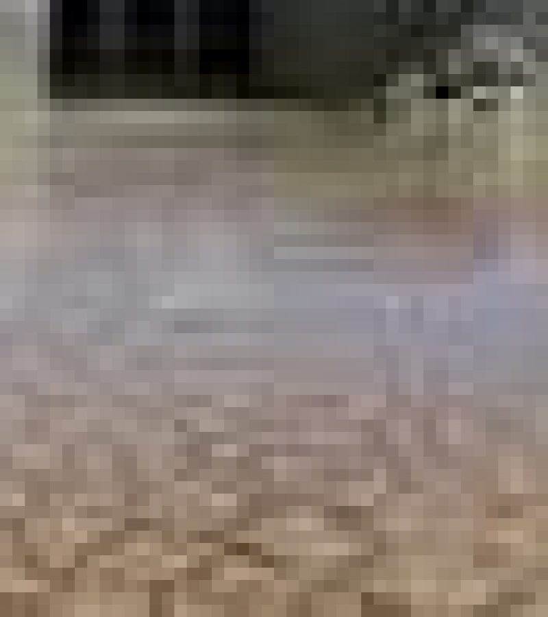 0089430_0.