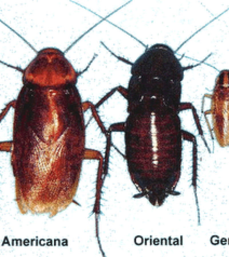 0089649_0.