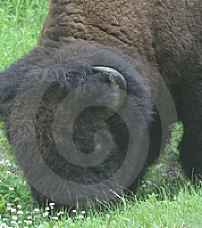 0089664_0.