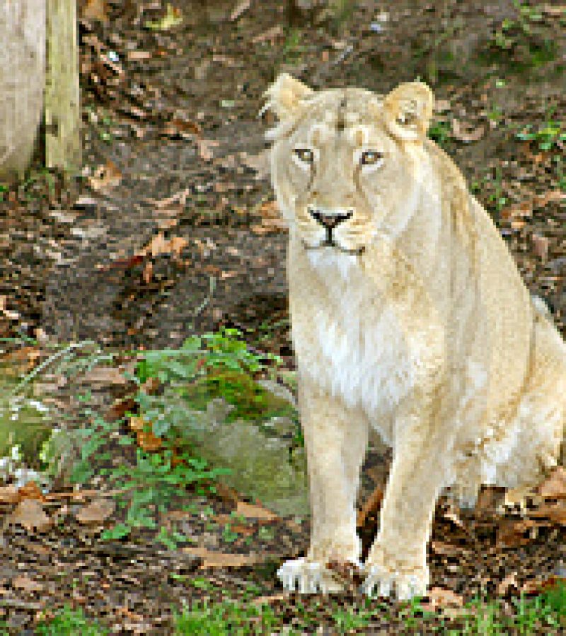 0089711_0.