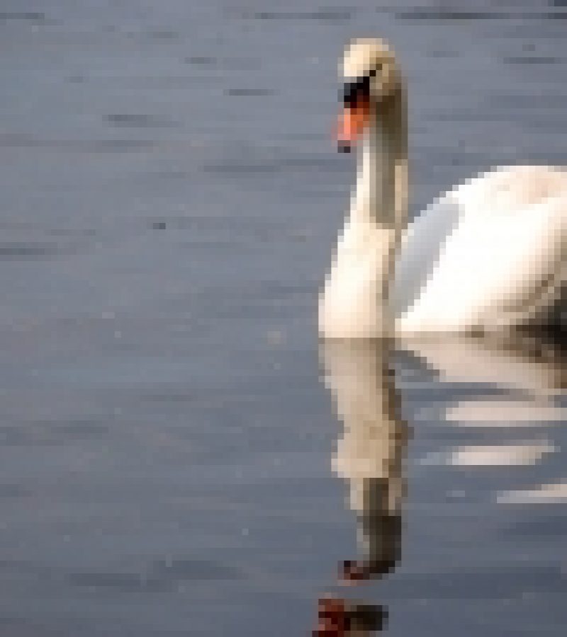 0090473_0.