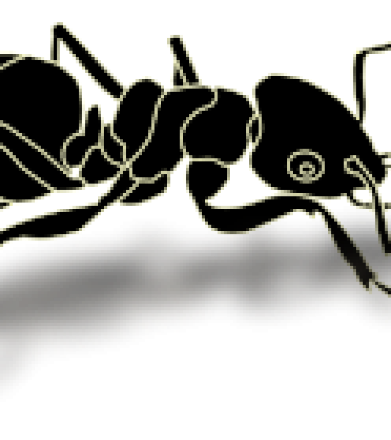 0090750_0.