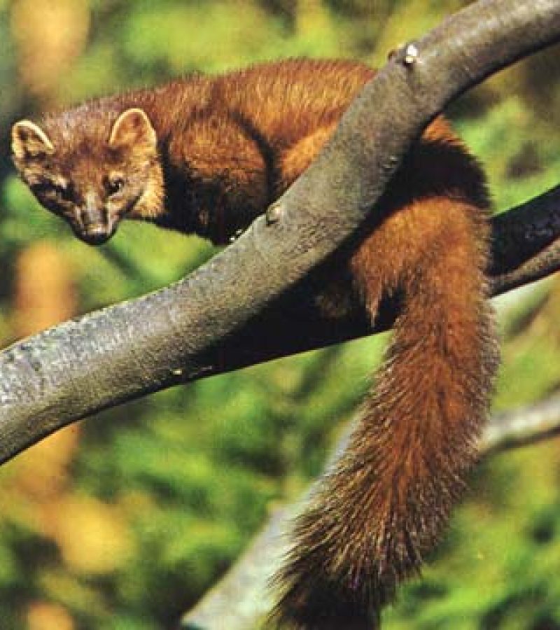 0090766_0.