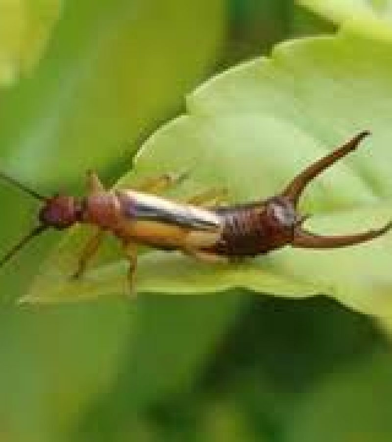 0091684_0.