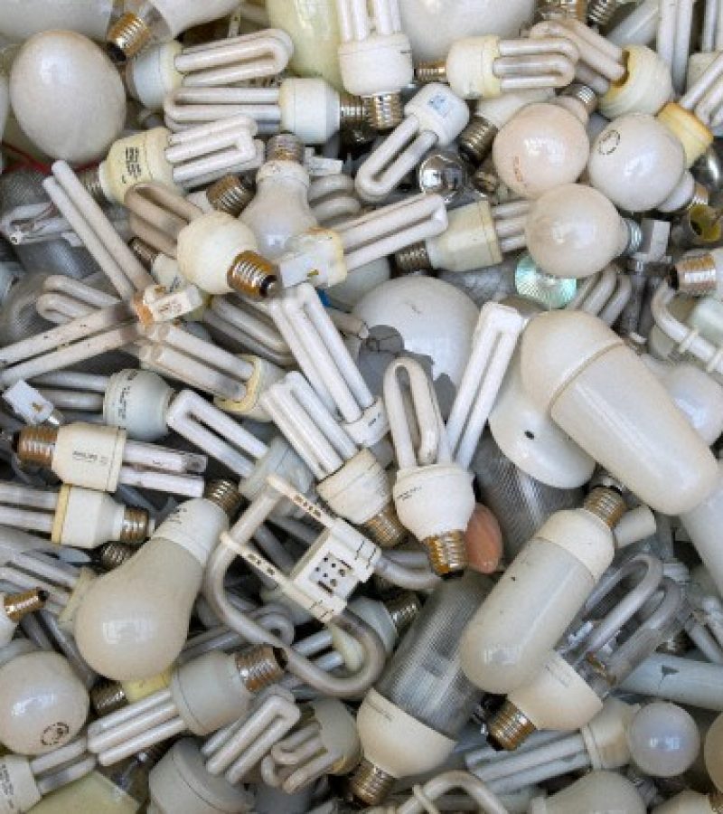 Close-up of a large group of incandescent bulbs