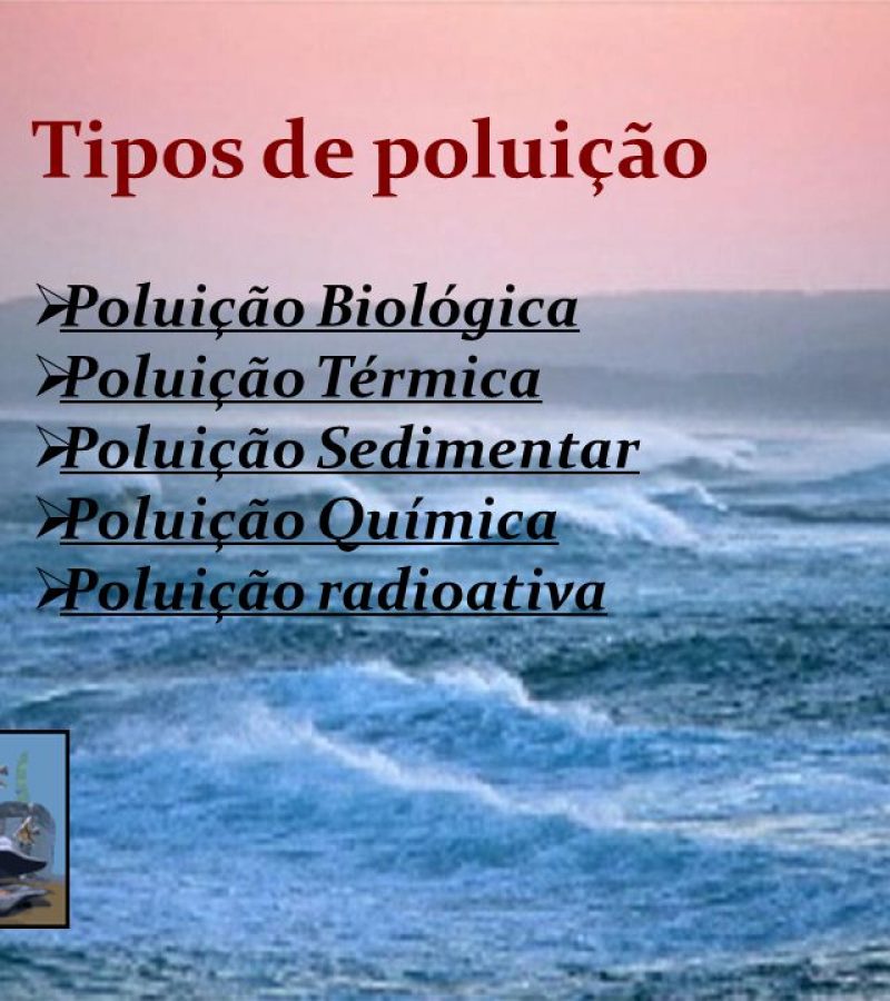 Poluição Sedimentar. Poluição Química. Poluição radioativa.
