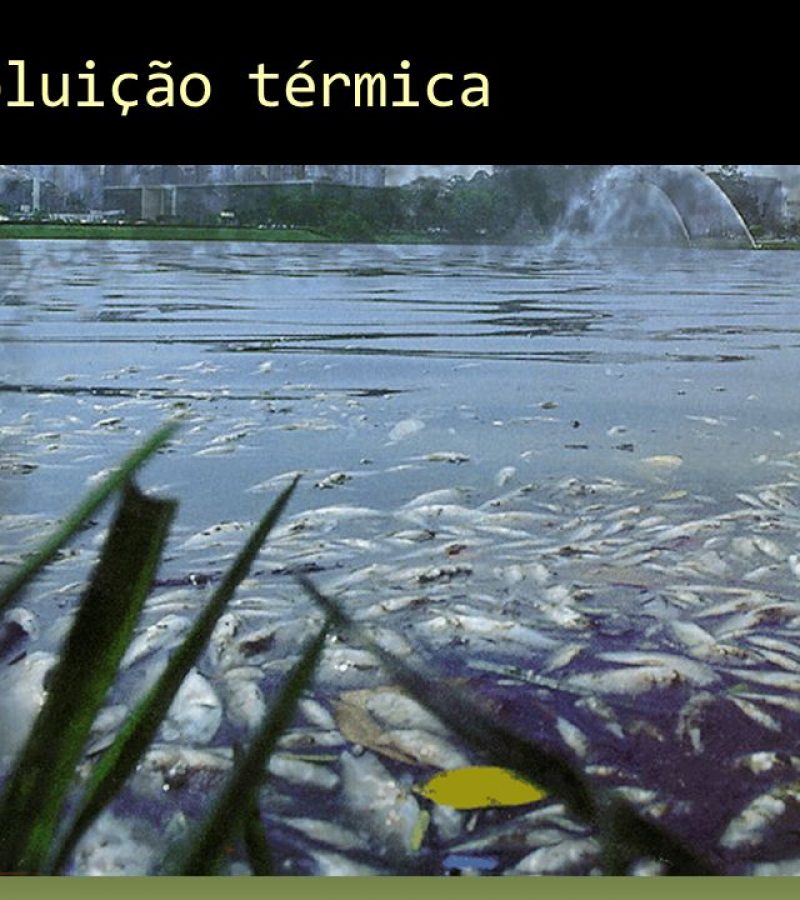 Poluição térmica