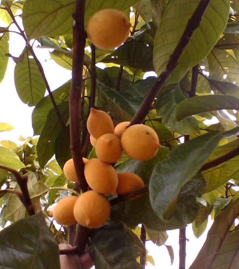 0096229_0.