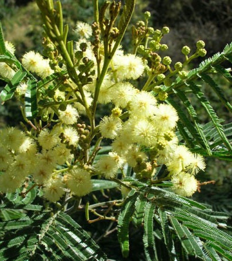 0096814_0.