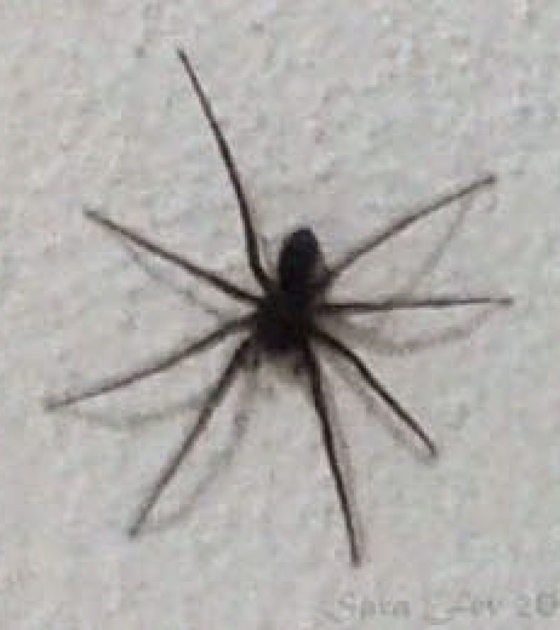 0097667_0.
