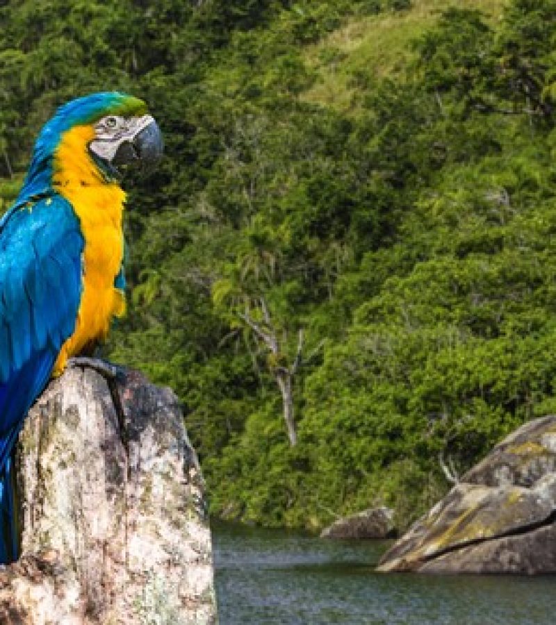 0098160_0.