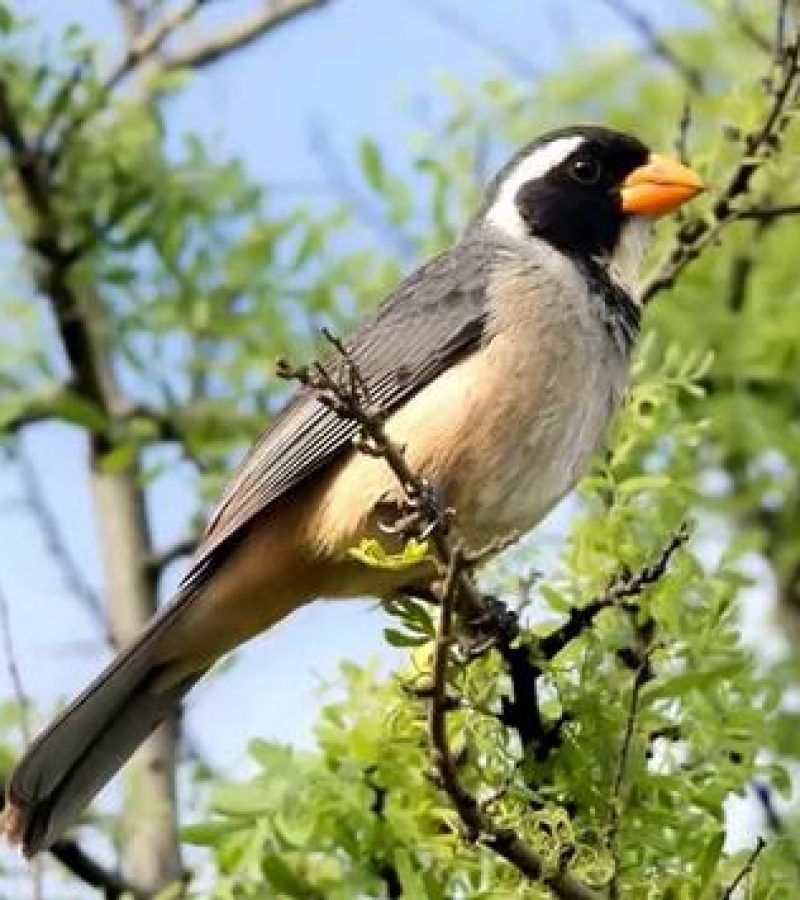 0098577_0.